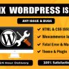 I will fix wordpress bug or html css responsive issues in 24 hours