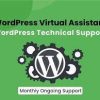 I will do wordpress website maintenance, website update and wordpress support