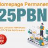 Create Premium 25 Pbn On High Metrics Backlink To Boost Your Rankings Fast for $12