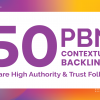 Get 101 DR 50+ homepage permanent PBN Backlinks for $90