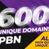 Get 600 REAL PBN all unique domain Actual PBN links for $350