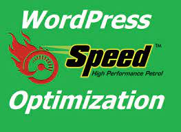 I will increase wordpress speed optimization for google page speed, gtmetrix