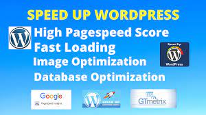 I will speed up wordpress website for page speed insights, gtmetrix, lighthouse