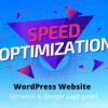 I will speed optimize wordpress website for google pagespeed and gtmetrix