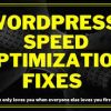 I will do wordpress speed optimization with gtmetrix ,increase page speed in 24 hour