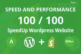 I will optimize wordpress website speed and improve gtmetrix, google pagespeed score