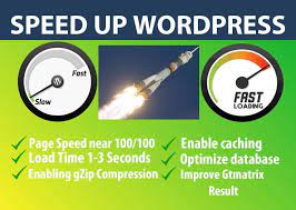 I will speed up your wordpress website in 24 hours