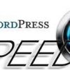 I will speed up your wordpress and improve your SEO