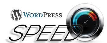 I will speed up your wordpress and improve your SEO