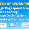 I will increase wordpress website speed and optimize for google pagespeed, gtmetrix