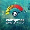 I will do wordpress speed optimization, increase page speed