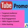 I will do targeted youtube promotion through google ads