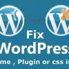I will fix wordpress issues quickly