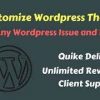 I will fix and customization wordpress website issue and errors