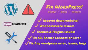 I will fix any word press errors, issues bugs and remove malware