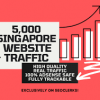 I will send 5000 singapore high quality organic traffic