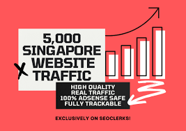 I will send 5000 singapore high quality organic traffic