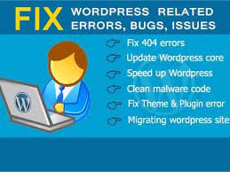 I will fix word  press website error, issues in 1 hour