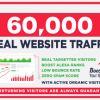 I will drive organic targeted web traffic real visitors