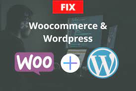 I will fix word press issues and woo-commerce errors