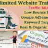 I will send 60,000 usa traffic and real clicks on ads with in 1 day