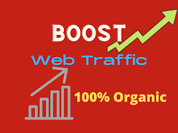 I will send real worldwide web traffic for 30 days