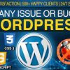 I will fix word press errors, word press issues and word press bugs
