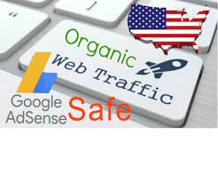 I will send usa targeted organic web traffic