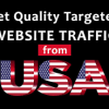 I will drive organic web traffic usa targeted website visitors