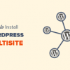 I will setup wordpress multisite network