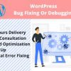 I will fix word press, php errors, issues and customization