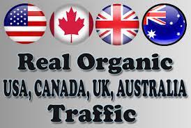 I will bring real organic targeted UK web traffic