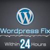 I will fix any word press issues with elementor and fix CSS issues