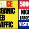 I will provide france or russia organic traffic