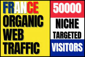 I will provide france or russia organic traffic