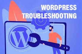 I will troubleshoot your wordpress website