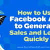 I will setup facebook and instagram ads to generate leads and sales
