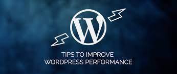 I will improve your wordpress website