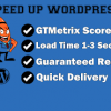 I will speed up wordpress site for you