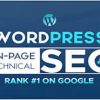 I will fully manage your onsite wordpress SEO