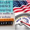 I will promote your website organic targeted traffic on drive USA