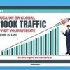I will drive real worldwide traffic, organic website visitors