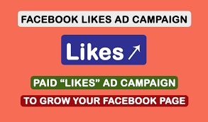 I will run a facebook ad campaign to grow page likes