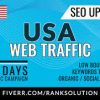 I will bring real visitors using organic web traffic from google USA