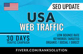 I will bring real visitors using organic web traffic from google USA
