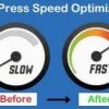 I will speed up wordpress speed for google page speed test