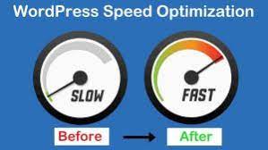 I will speed up wordpress speed for google page speed test