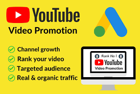 I will do targeted youtube promotion by google adwords
