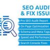 I will perform website SEO audit and fix issues