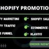 I will do shopify marketing,shopify traffic,ecommerce marketing,klaviyo sales funnel